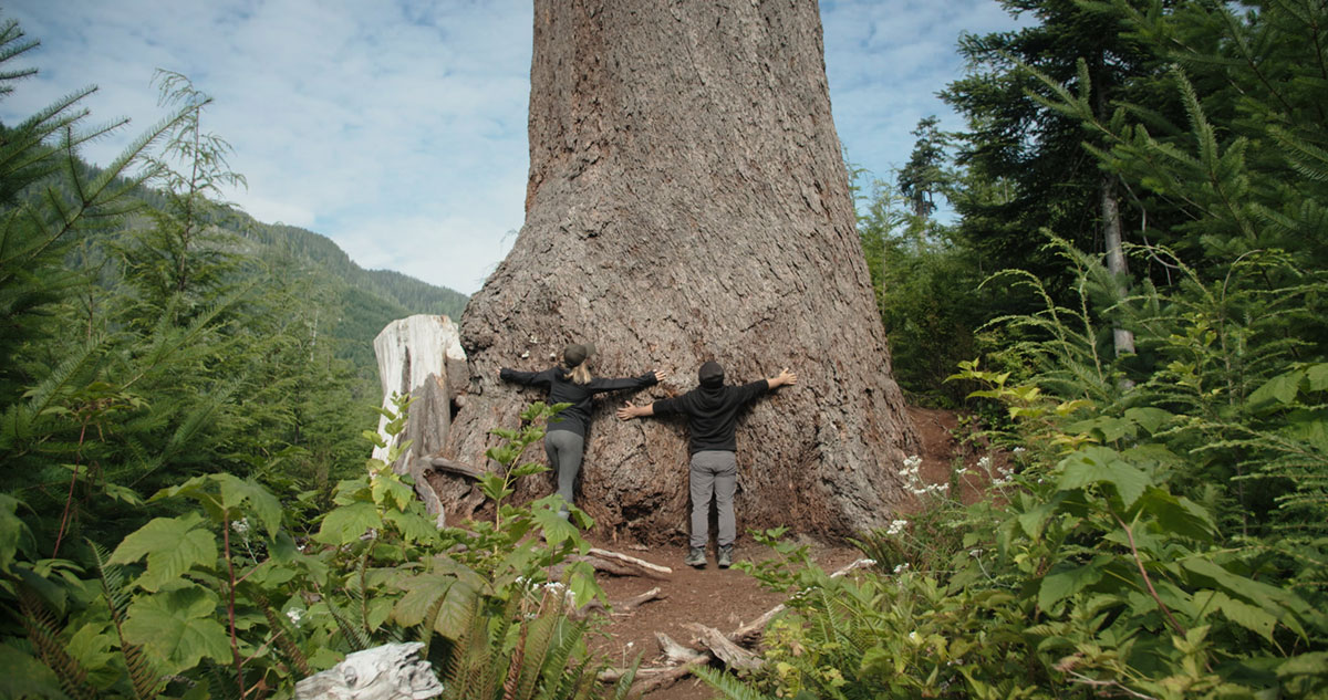 Still image from the feature documentary Silvicola